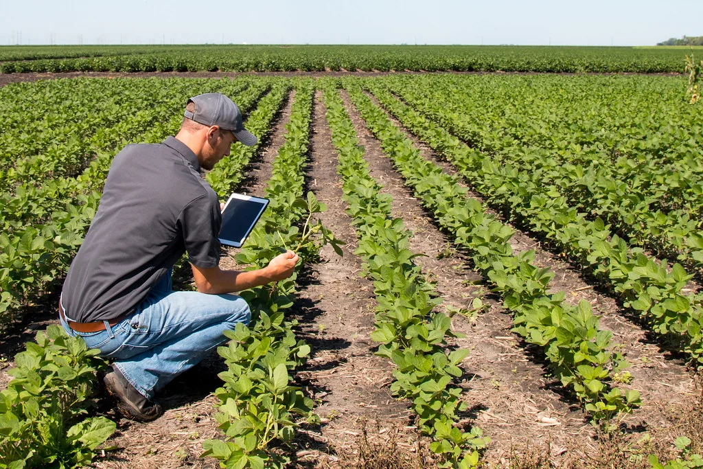 Agricultura Digital no Brasil: Tecnologias, Benefícios e Como Começar