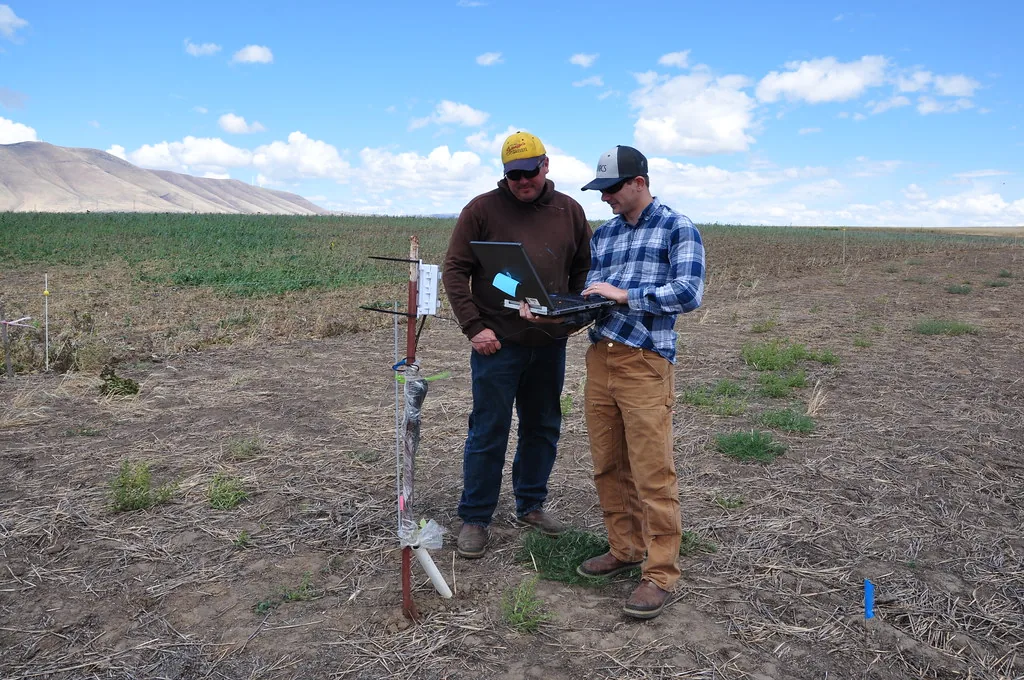 Sensor de umidade instalado no solo agrícola