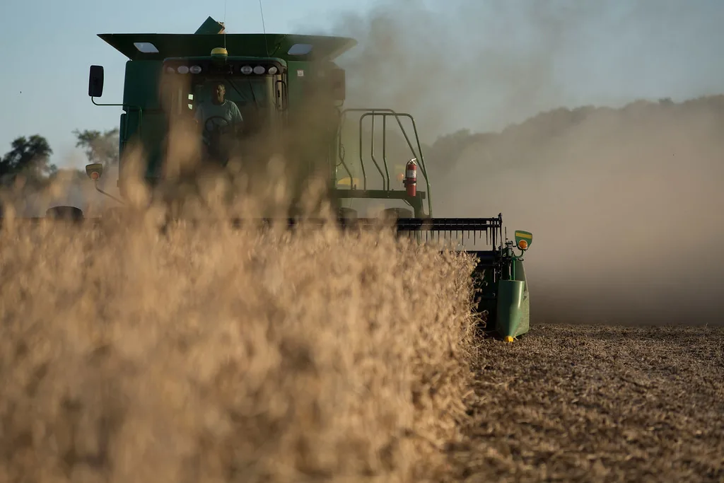 Curiosidades do Agronegócio Brasileiro: Recordes, Fatos Surpreendentes e A Revolução do Campo