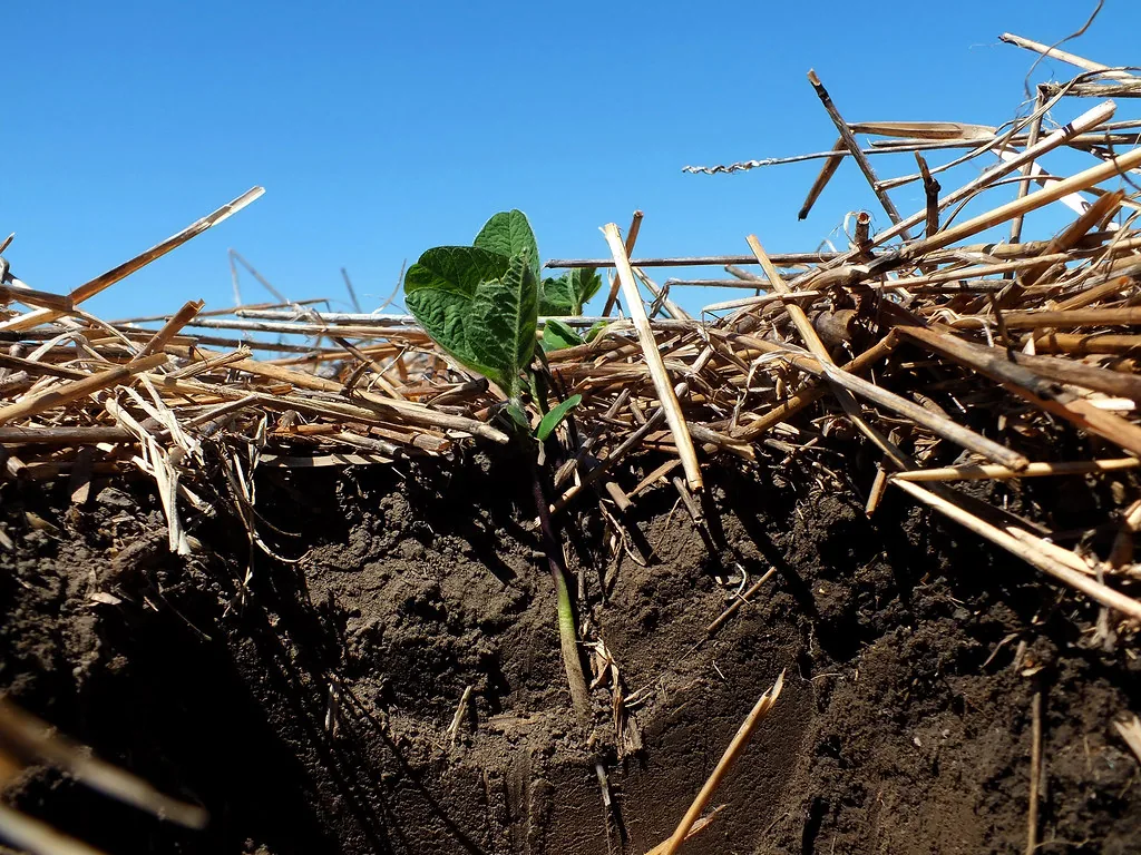 Plantio direto e conservação do solo no agronegócio brasileiro