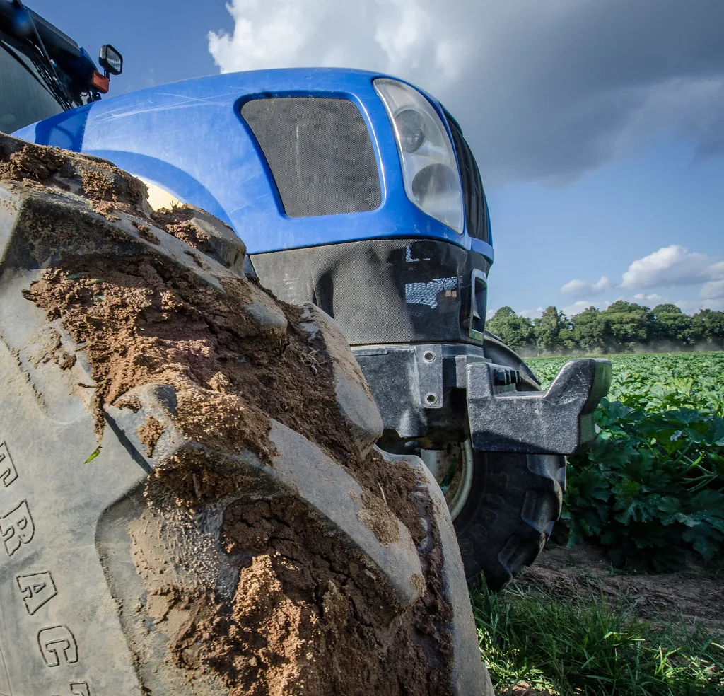 Consórcio de culturas agrícolas com milho e braquiária em rotação Consórcio de culturas agrícolas com milho e braquiária em rotação