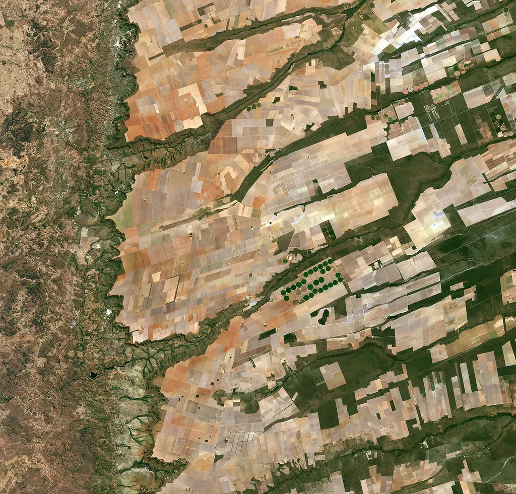 Safra de Grãos 2025/26: Guia 2026 — Cenário, Planejamento e Oportunidades para o Produtor