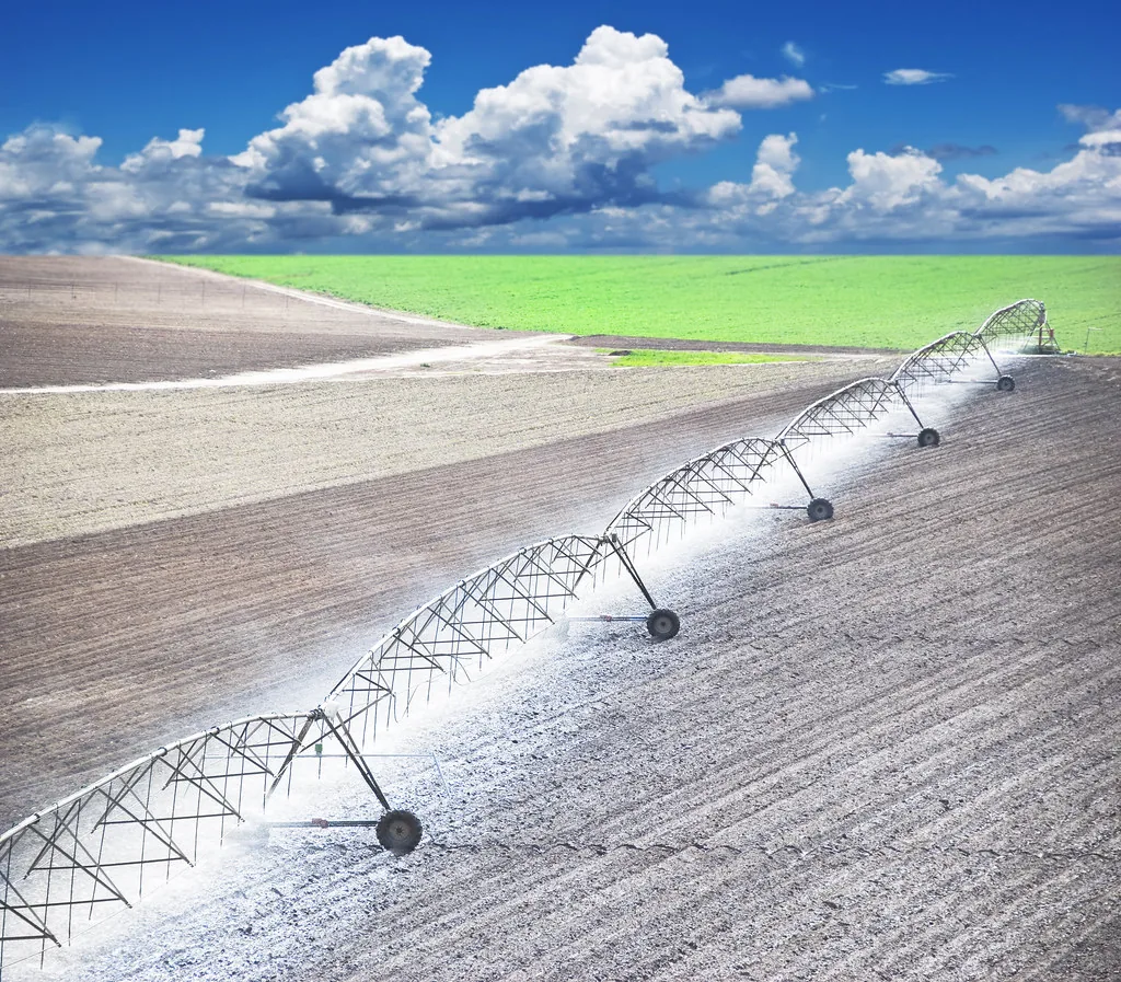 Uso Eficiente da Água na Agricultura: Manejo, Irrigação e Conservação